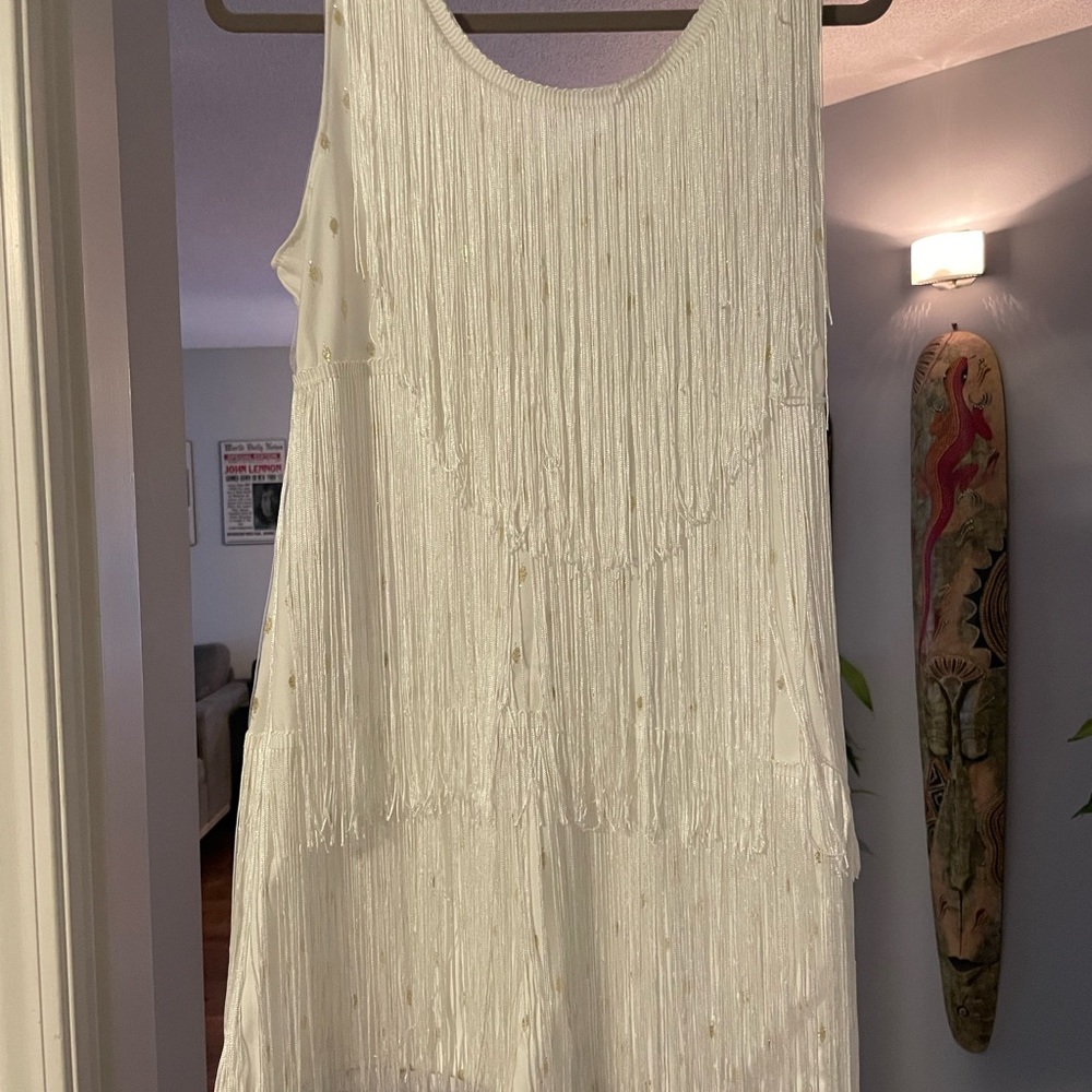 Absolutely stunning great gatsby style fringe dress!